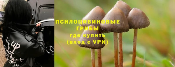 индика Аша