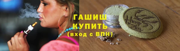 индика Аша